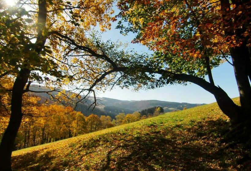 标准间, Gasthof Braun