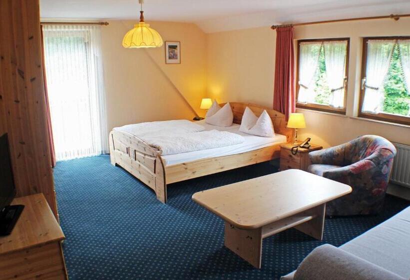 Comfort room with balcony, Gasthof Braun