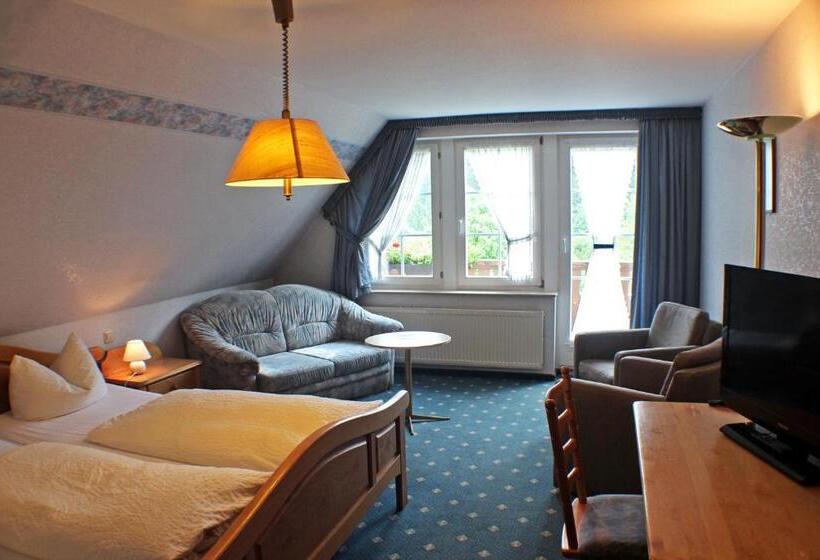 Comfort room with balcony, Gasthof Braun