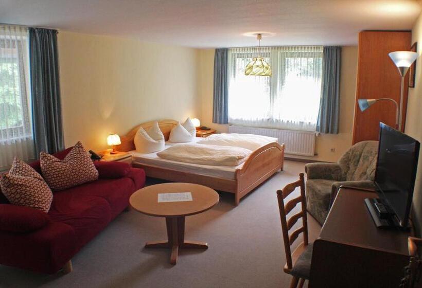 Comfort room with balcony, Gasthof Braun