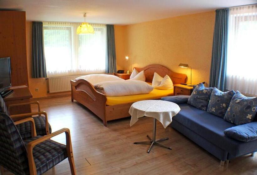 Comfort room with balcony, Gasthof Braun