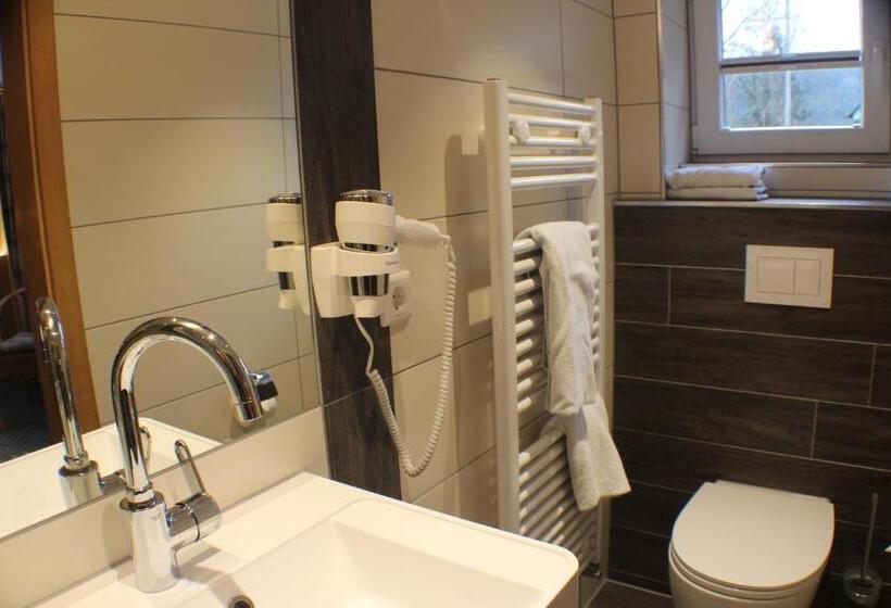 舒适型单人间, Gasthof Braun