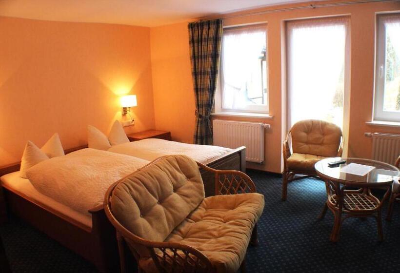 舒适型单人间, Gasthof Braun