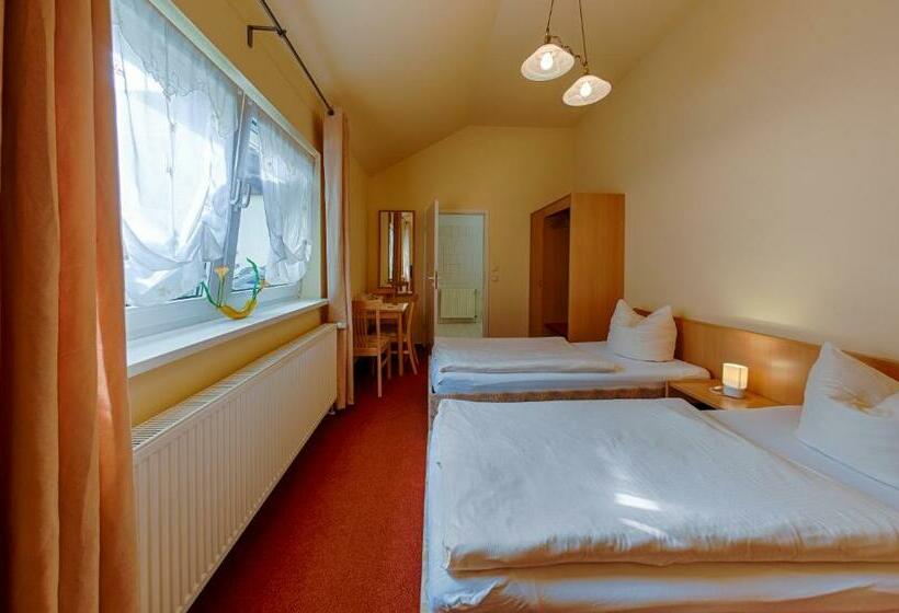 Номер Стандарт Трехместный, Pension Lender