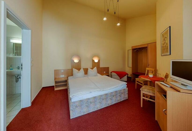 Номер Стандарт Индивидуальный, Pension Lender