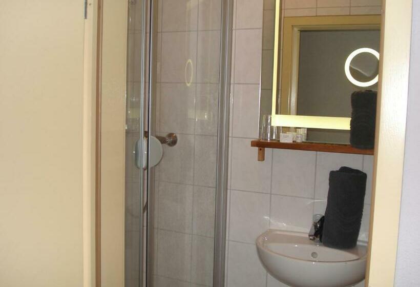 스탠다드 싱글 룸, Restaurant Fritz