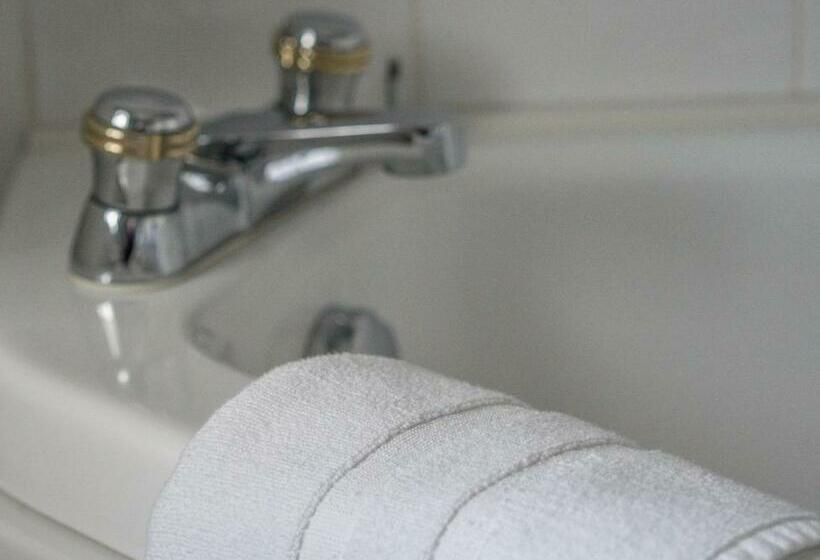 Номер Стандарт Вид на Сад, Tattykeel House