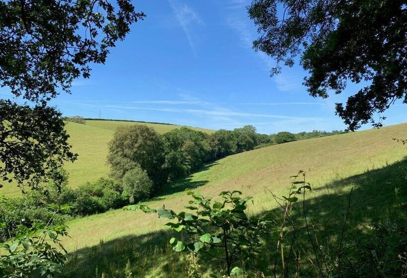 Номер Deluxe, Tregondale Manor Farm