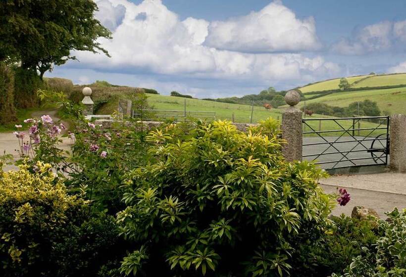 Номер Deluxe, Tregondale Manor Farm