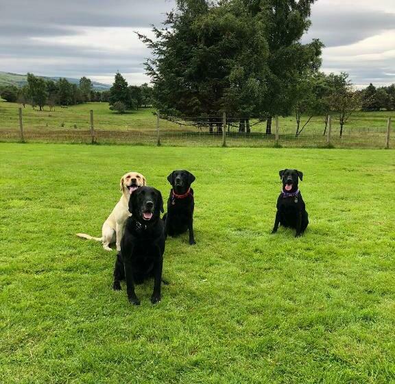 Capsule, Whitemoss Lodge