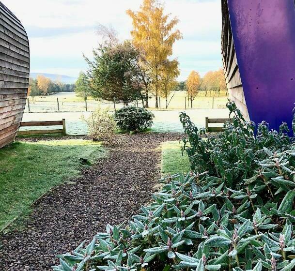 Capsule, Whitemoss Lodge