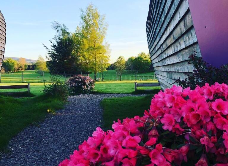 חדר סטנדרט עם מיטת קינג, Whitemoss Lodge