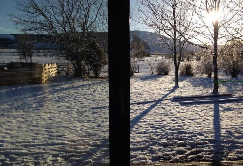 חדר סטנדרט עם מיטת קינג, Whitemoss Lodge