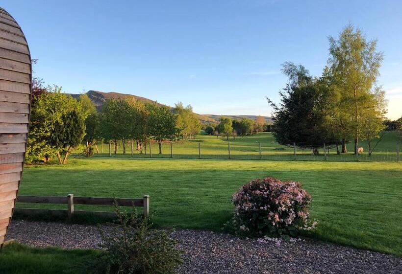스탠다드 룸 킹사이즈 침대, Whitemoss Lodge
