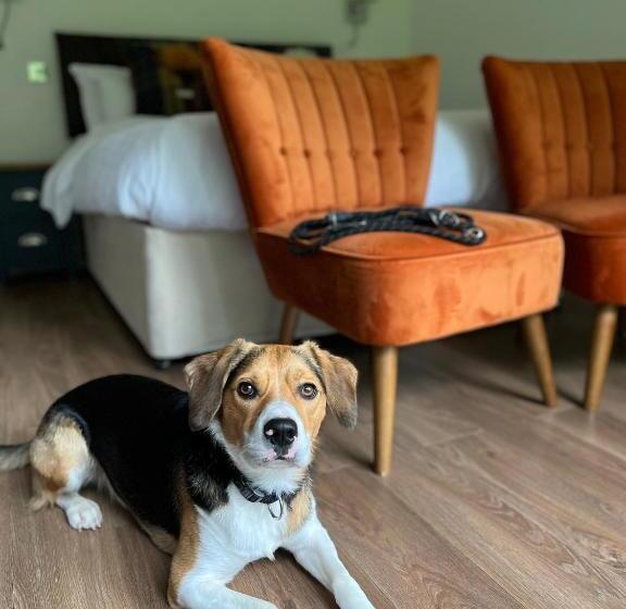 חדר סטנדרט עם מיטת קינג, Whitemoss Lodge