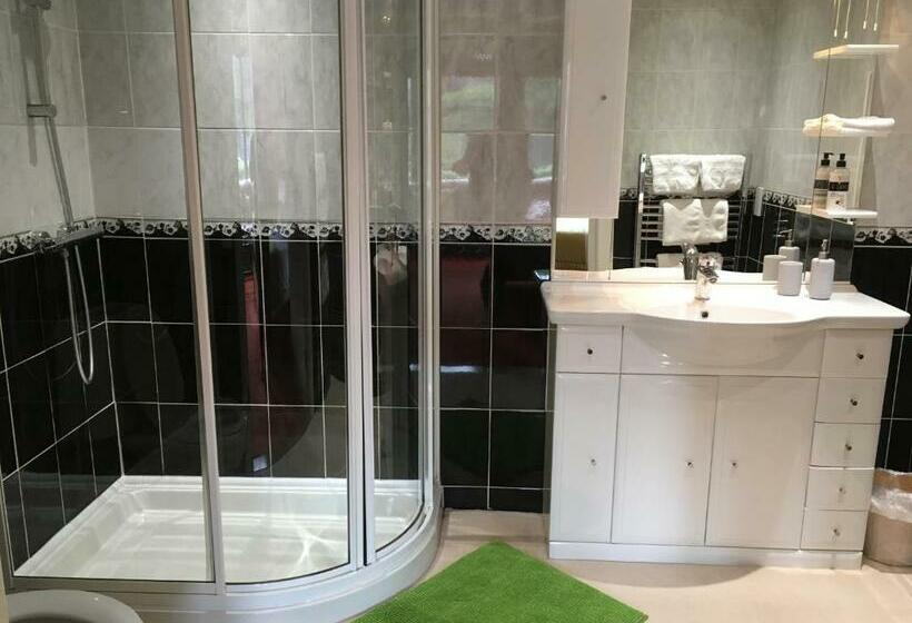 غرفة ديلوكس سرير كينج, Blackburn Villa B&b