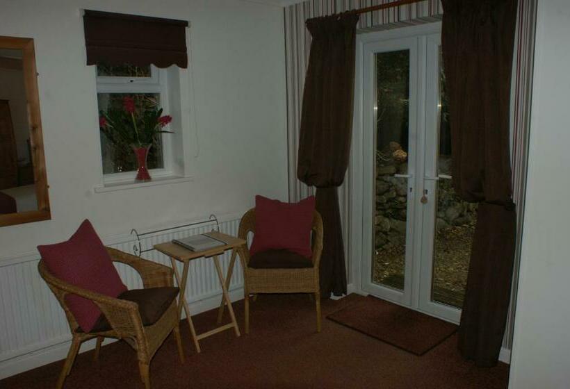 اتاق استاندارد, Talybont Bed And Breakfast