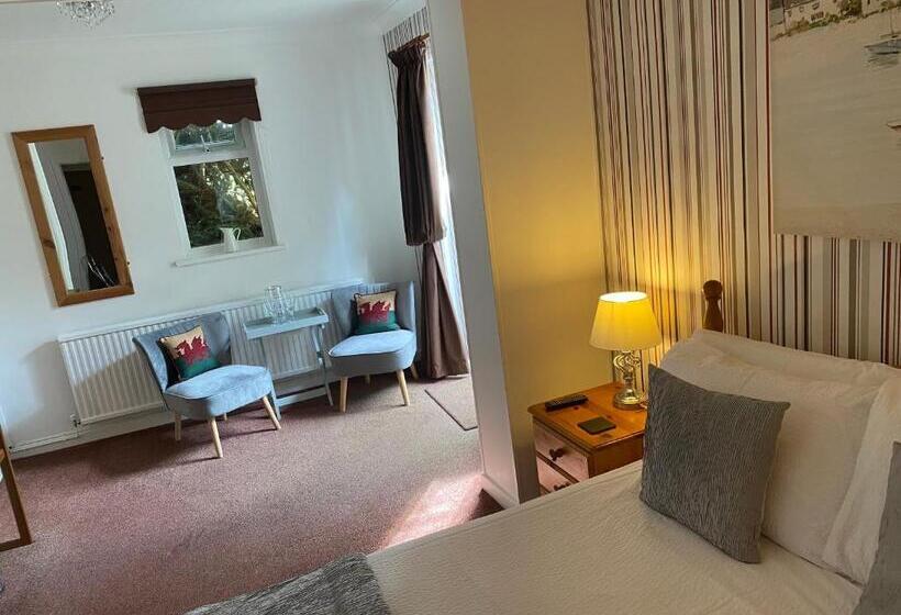 اتاق استاندارد, Talybont Bed And Breakfast