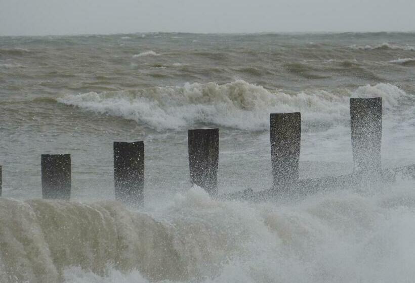 חדר סטנדרט, The Iverna