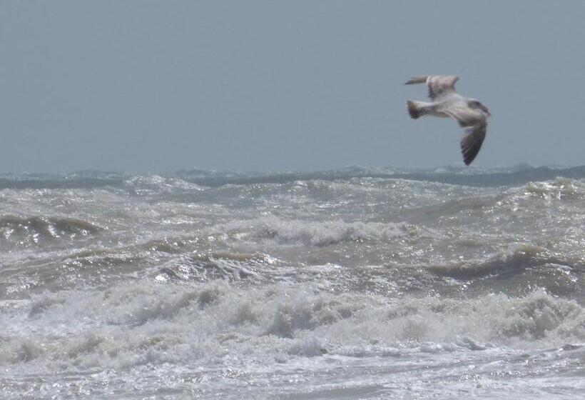 Standard room with outdoor bath, The Iverna
