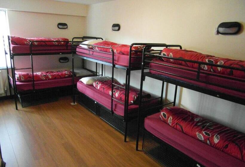 تختخواب در اتاق مشترک, Belfast International Youth Hostel