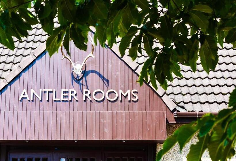 スタンダードシングルルーム, Dalziel Park