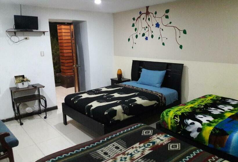 غرفة قياسية رباعية مطلة على الحديقة, The Backpacker Hostal