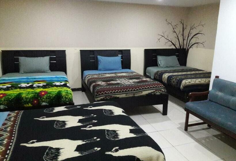 غرفة قياسية رباعية مطلة على الحديقة, The Backpacker Hostal