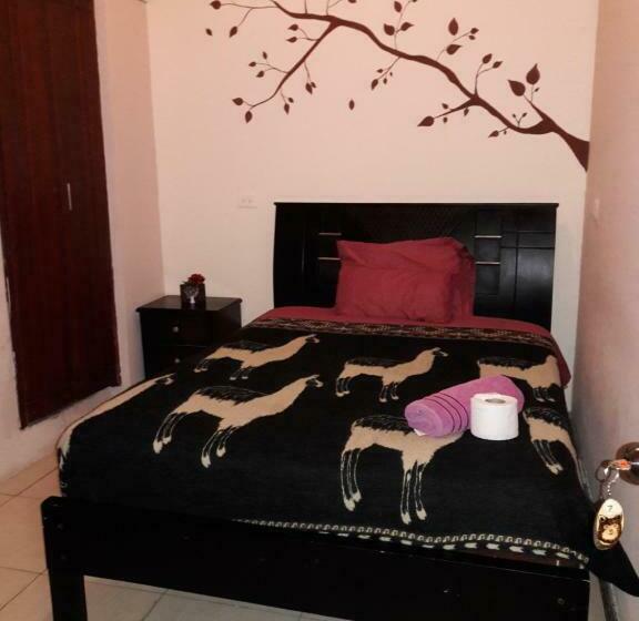 اتاق استاندارد, The Backpacker Hostal