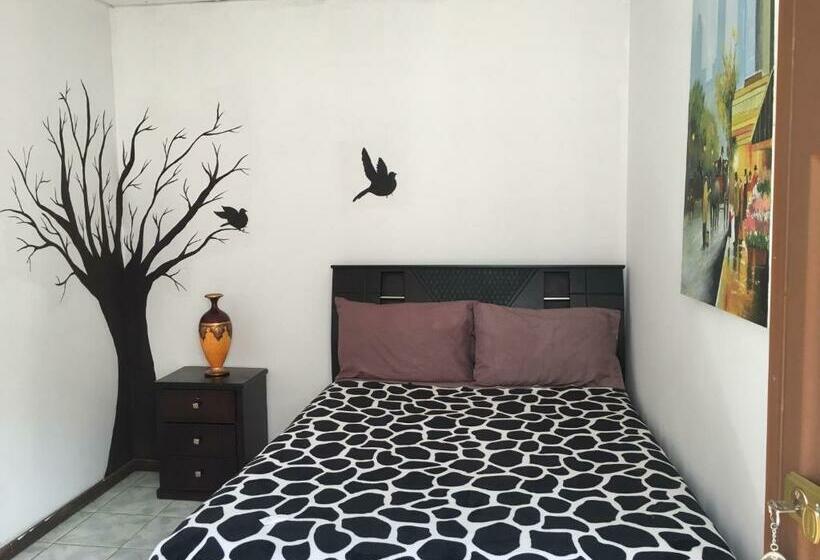 غرفة قياسية, The Backpacker Hostal