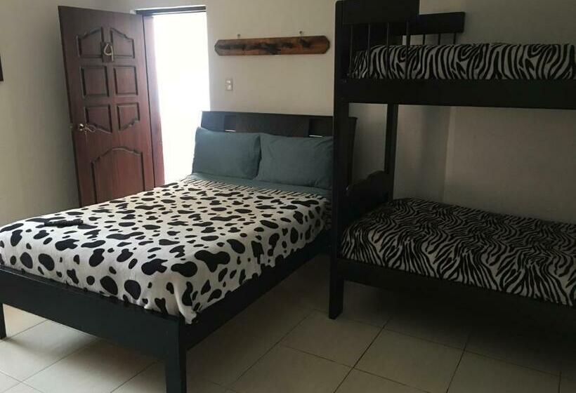 스탠다드 트리플 룸, The Backpacker Hostal