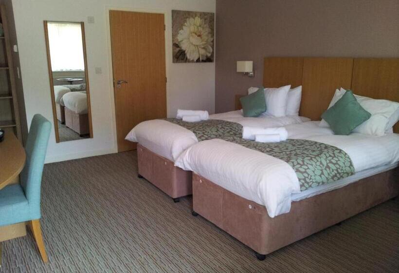 Номер Стандарт, Deangate Motel