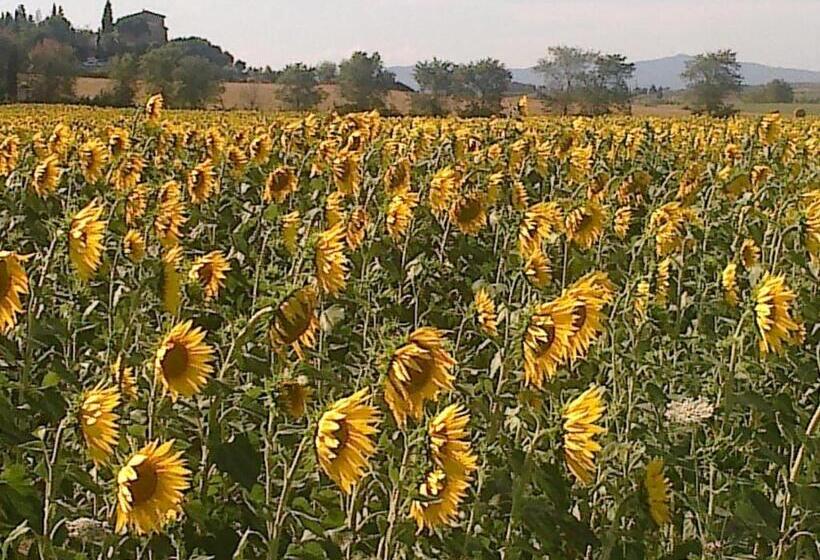 اتاق استاندارد سه نفره, Agriturismo Il Paradiso