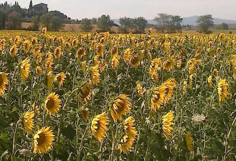 スタンダードトリプルルーム, Agriturismo Il Paradiso