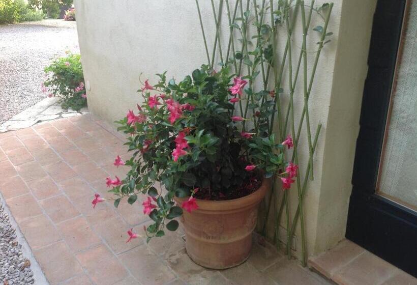 اتاق استاندارد سه نفره, Agriturismo Il Paradiso