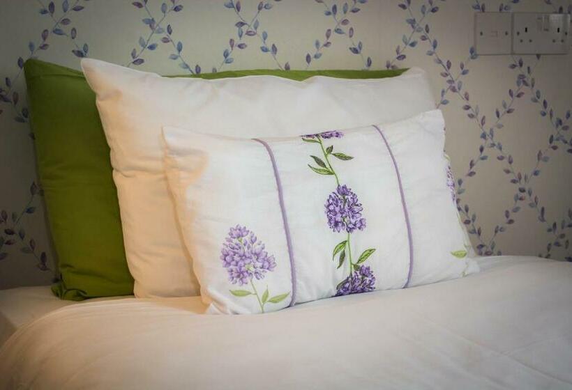 패밀리 룸, Beachlands