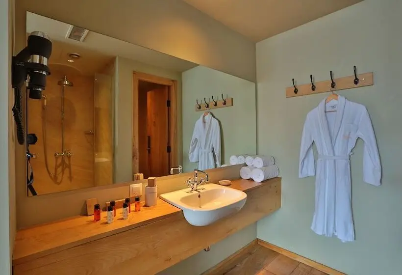 シングルデラックスルーム, Rooms Hotel Kazbegi