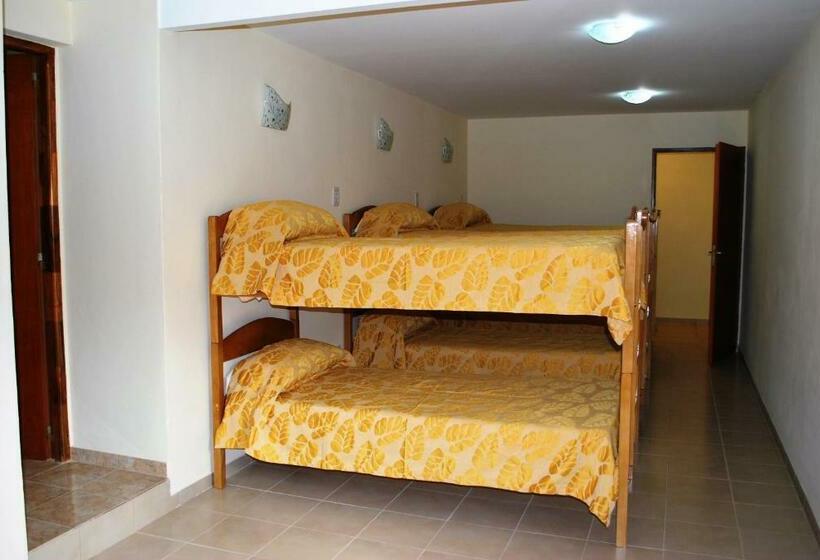 מיטה בחדר משותף, Hostel Pioneros Del Valle