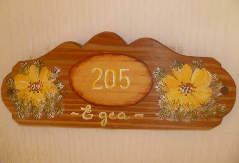 スタンダードルーム, Acquamarina