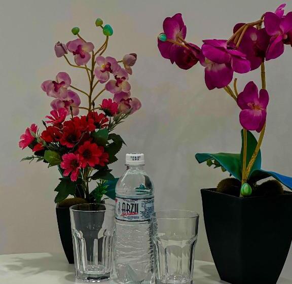 آپارتمان 1 خوابه, Astina