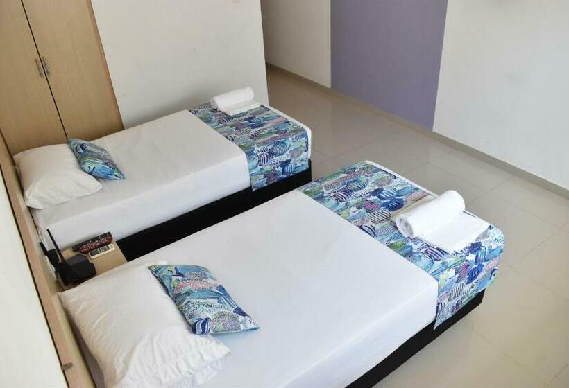 テラス付きスタンダードルーム, Color House Santa Marta