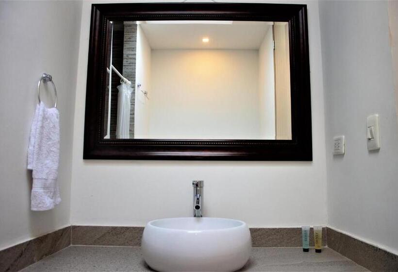 プールビュースタンダードルーム, Color House Santa Marta