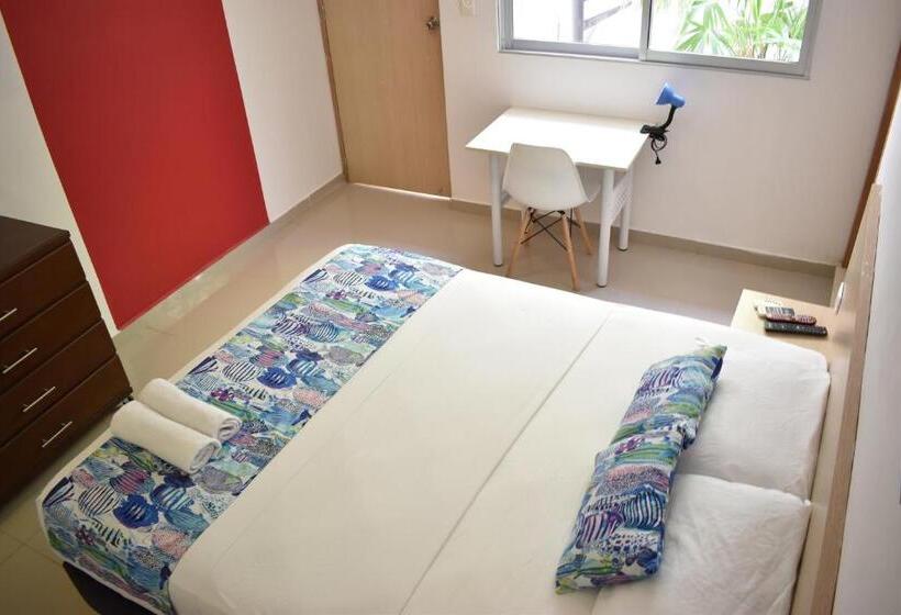 Standardrum, Color House Santa Marta