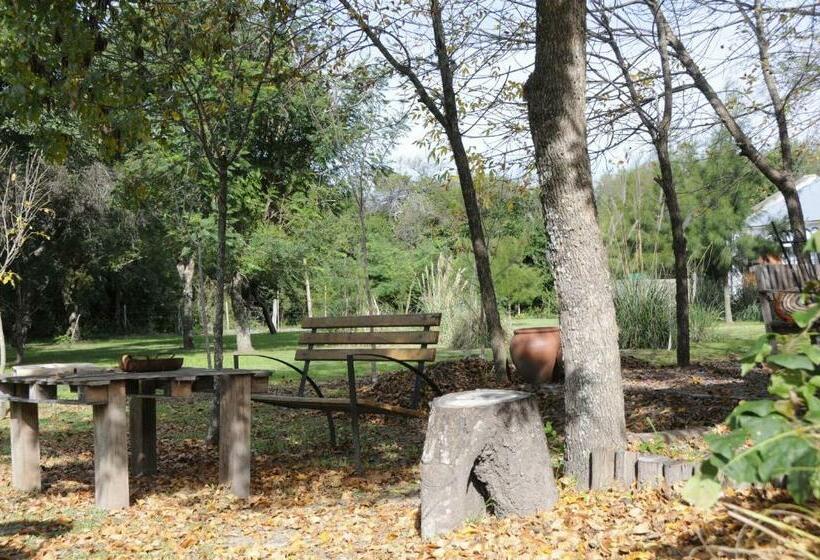 带大床的高级房间, Monte Regina