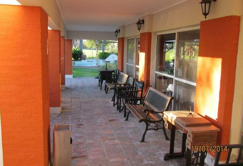 带大床的高级房间, Monte Regina