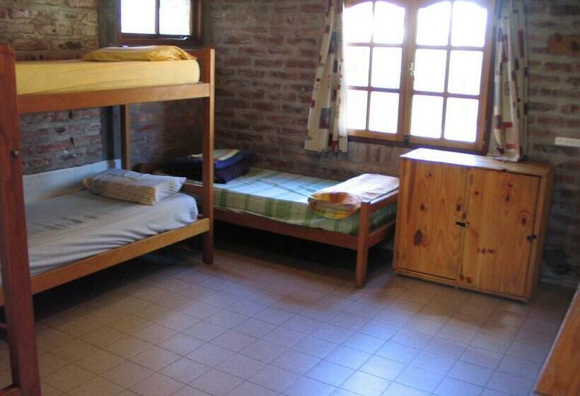 Geteiltes Mehrbettzimmer, Puma Hostel