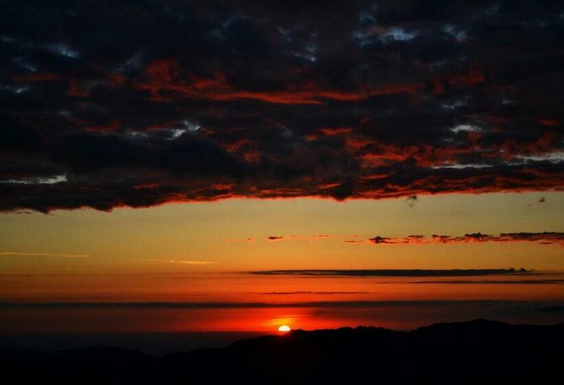 标准平房, Portal De Piedra