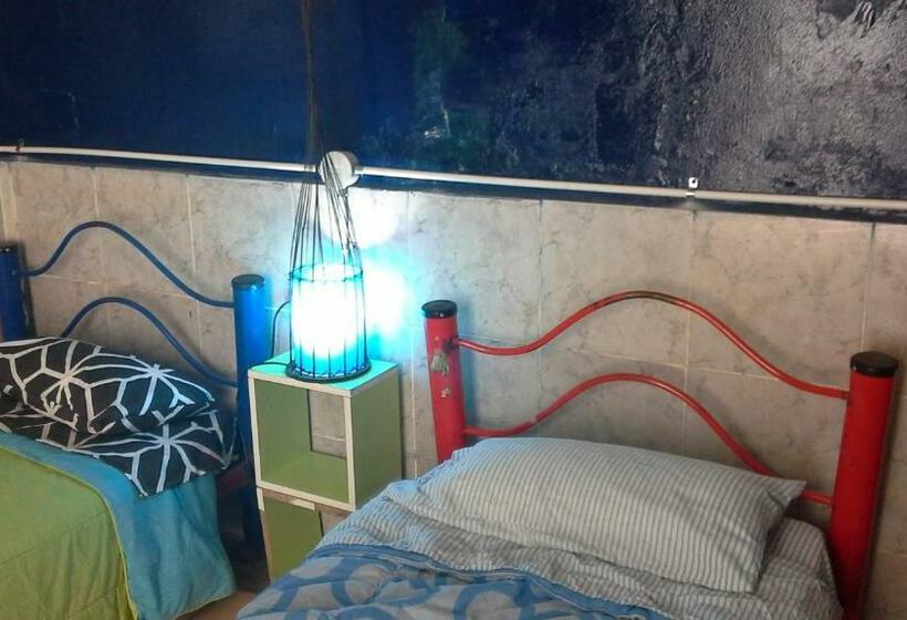 تختخواب در اتاق مشترک, Hospedaje La Rana