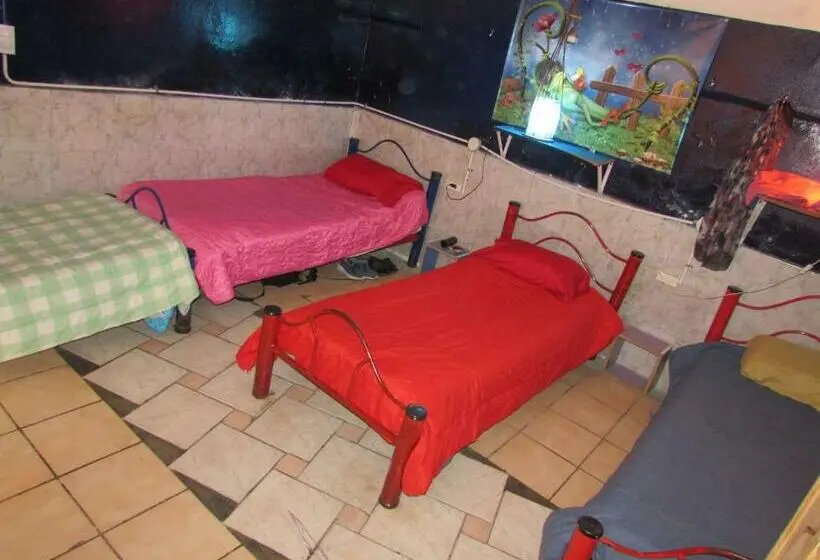 تختخواب در اتاق مشترک, Hospedaje La Rana