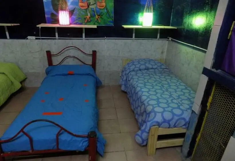 تختخواب در اتاق مشترک, Hospedaje La Rana